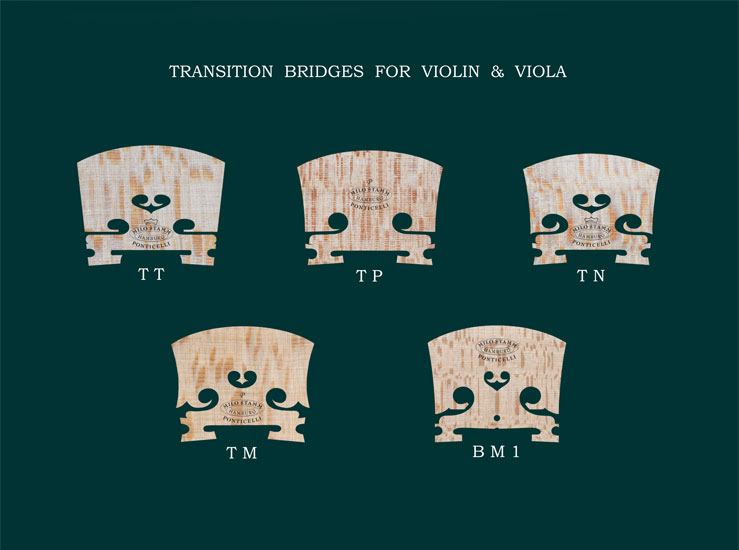 violin_bridges_transition
